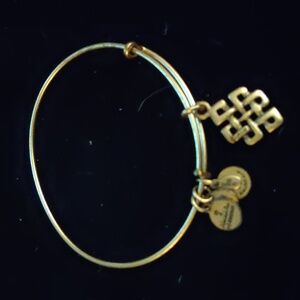 Alex and Ani Women's Gold Tone Bracelet - Endless Knot
